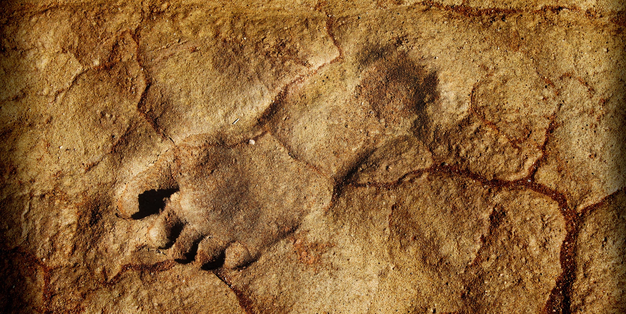 footprints