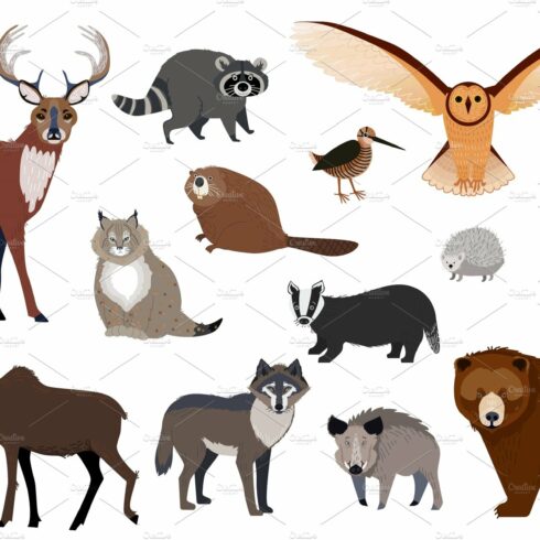 forest animal clipart 2024