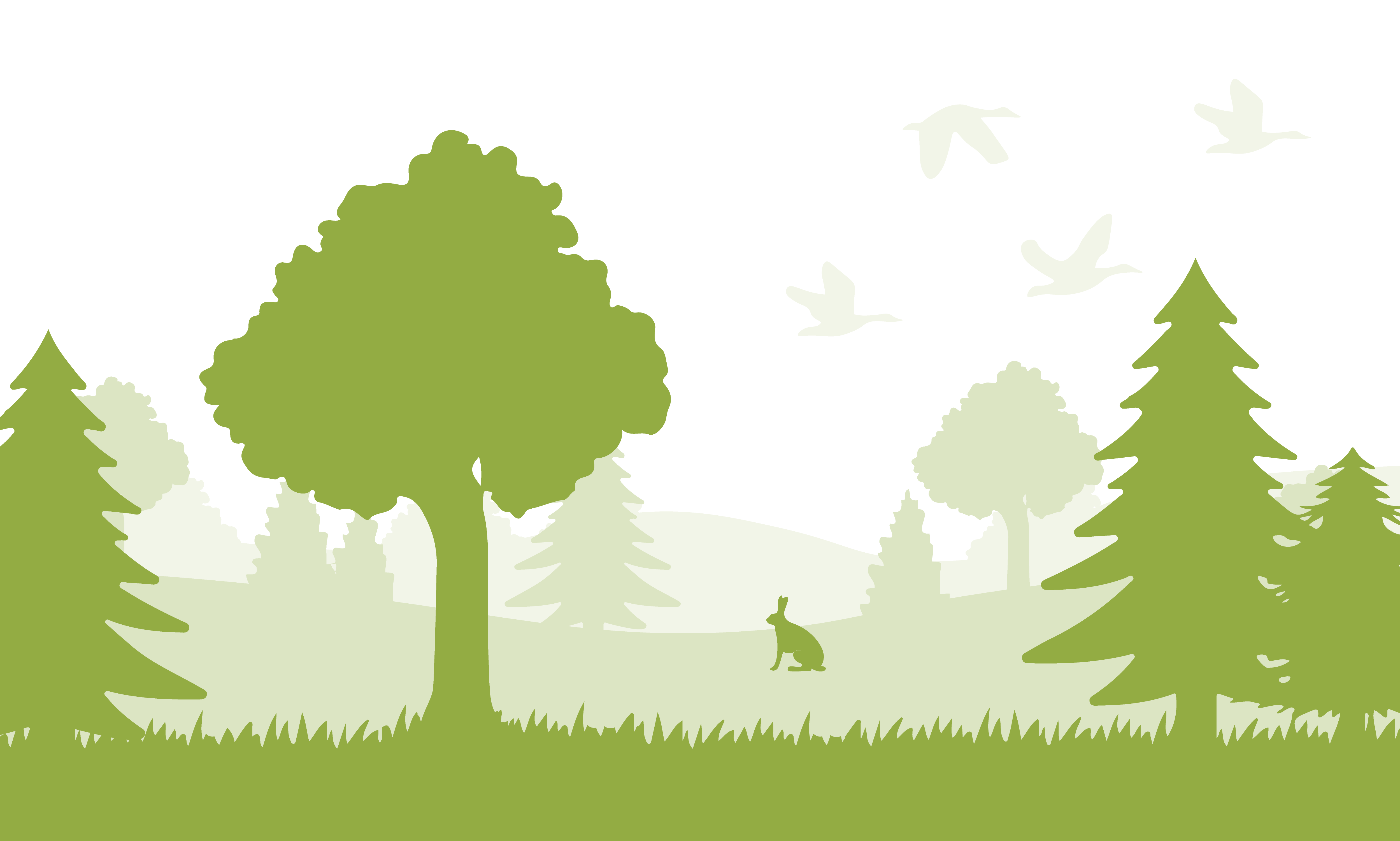 forest cliparts 2024
