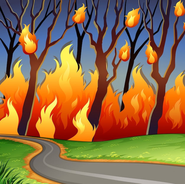 Premium Vector | Disaster scene of forest fire
