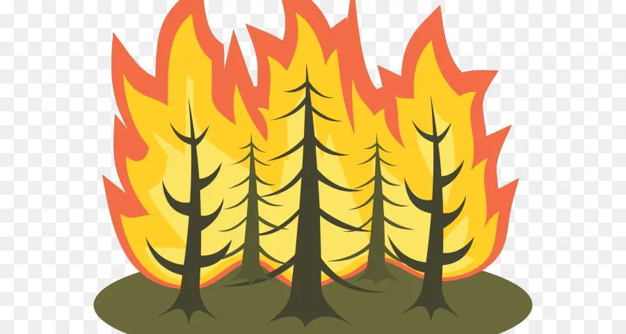 Forest Fire - Forest Fire Illustration - CleanPNG / KissPNG