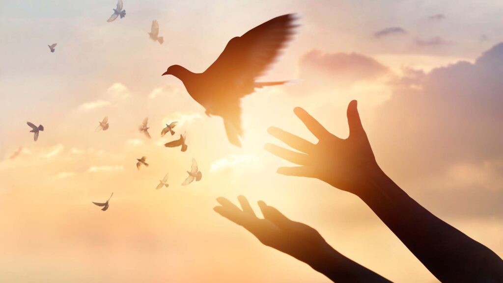 7 Strategies for Forgiveness