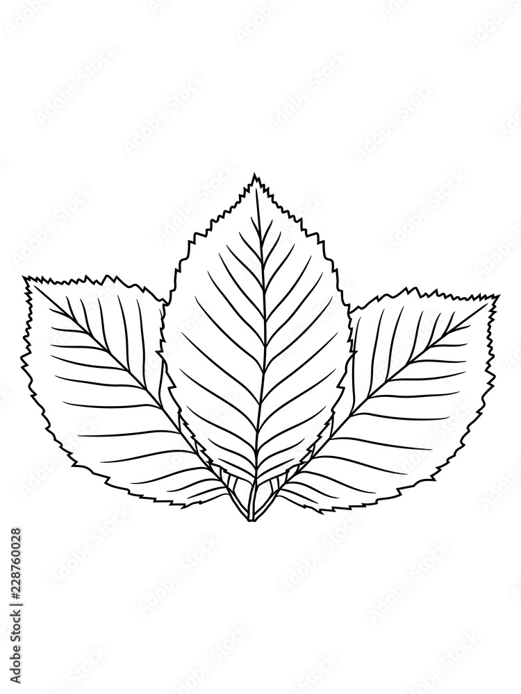 form cliparts