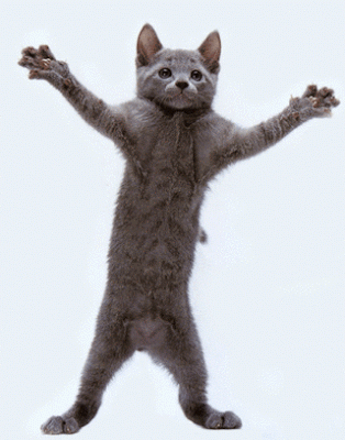 free animation gifs
