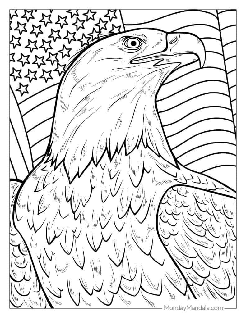 free bald eagle coloring pages