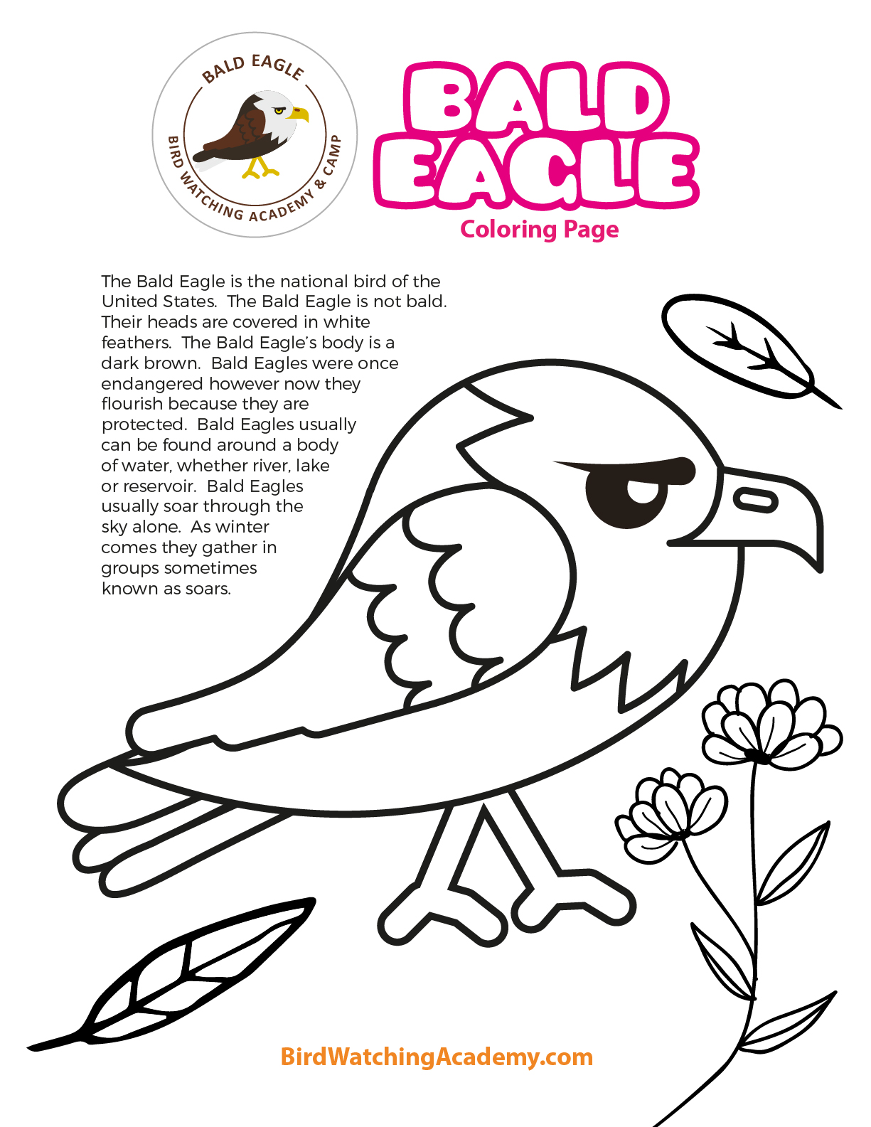 free bald eagle coloring pages