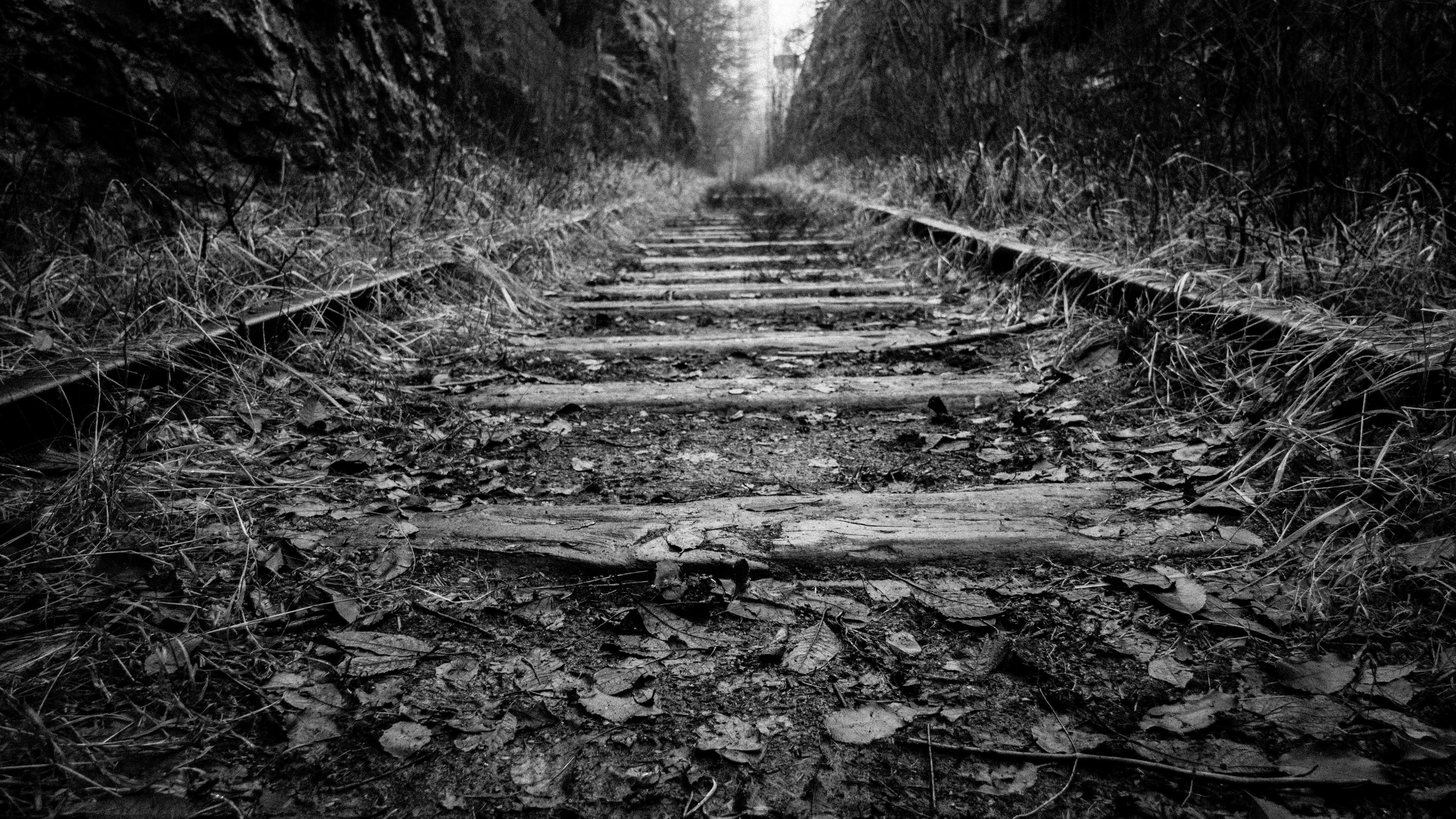 free black and white