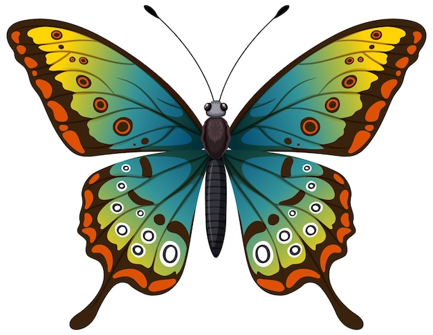 Page 4 | Colorful Butterfly Graphics Images - Free Download on clipart library