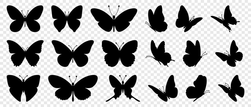 Butterfly Vectors Images – Browse 1,079,137 Stock Photos, Vectors ...