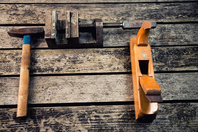 700+ Free Carpenter &amp; Carpenter Bee Images - Pixabay