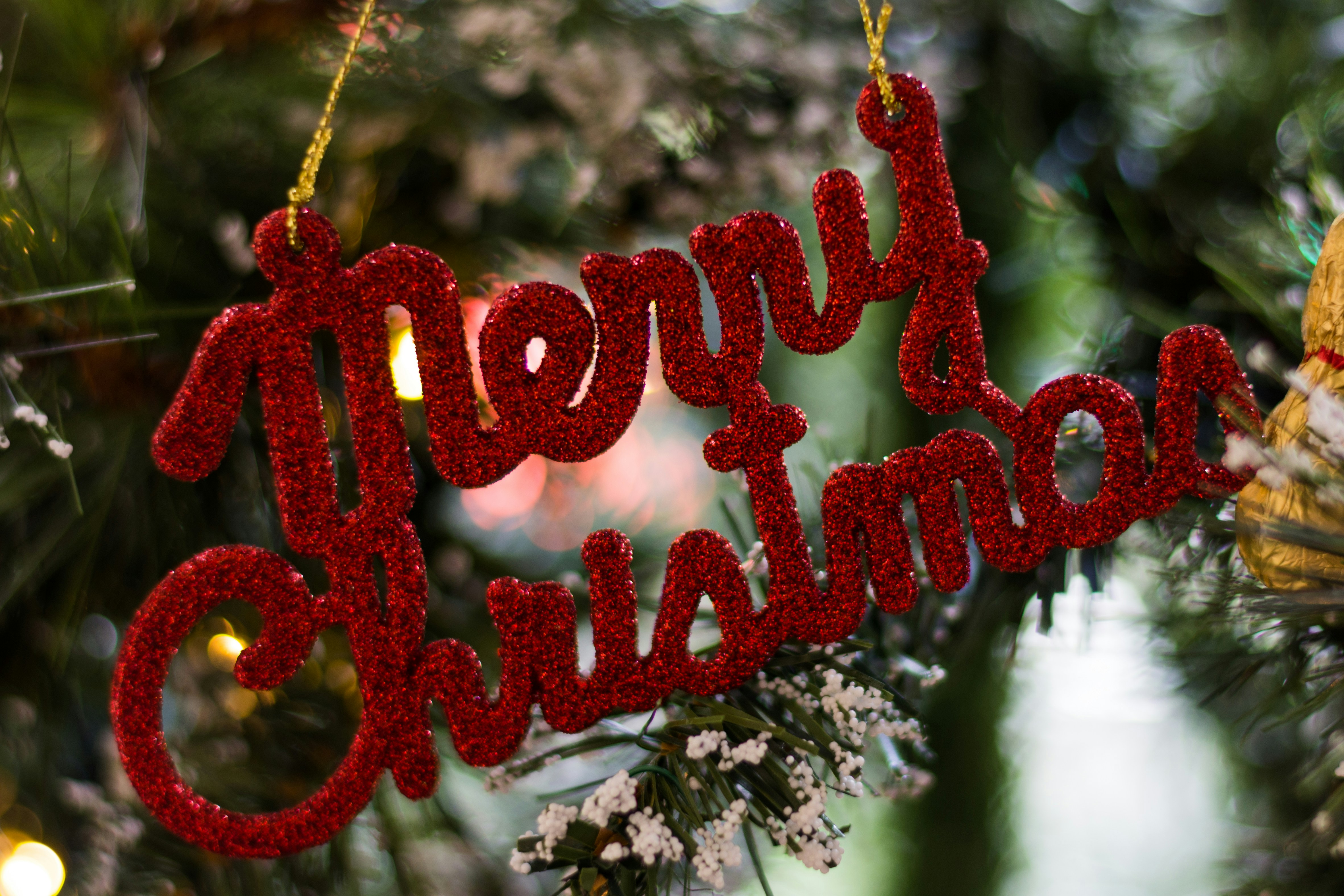 free christmas photos