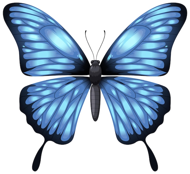 free cliparts butterflies 2024