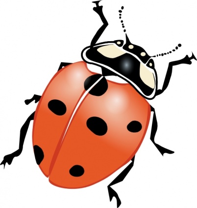 33,500+ Ladybug Stock Illustrations, Royalty-Free Vector Graphics ...