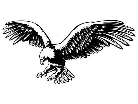 Eagle Vector Images – Browse 459,471 Stock Photos, Vectors, and ...
