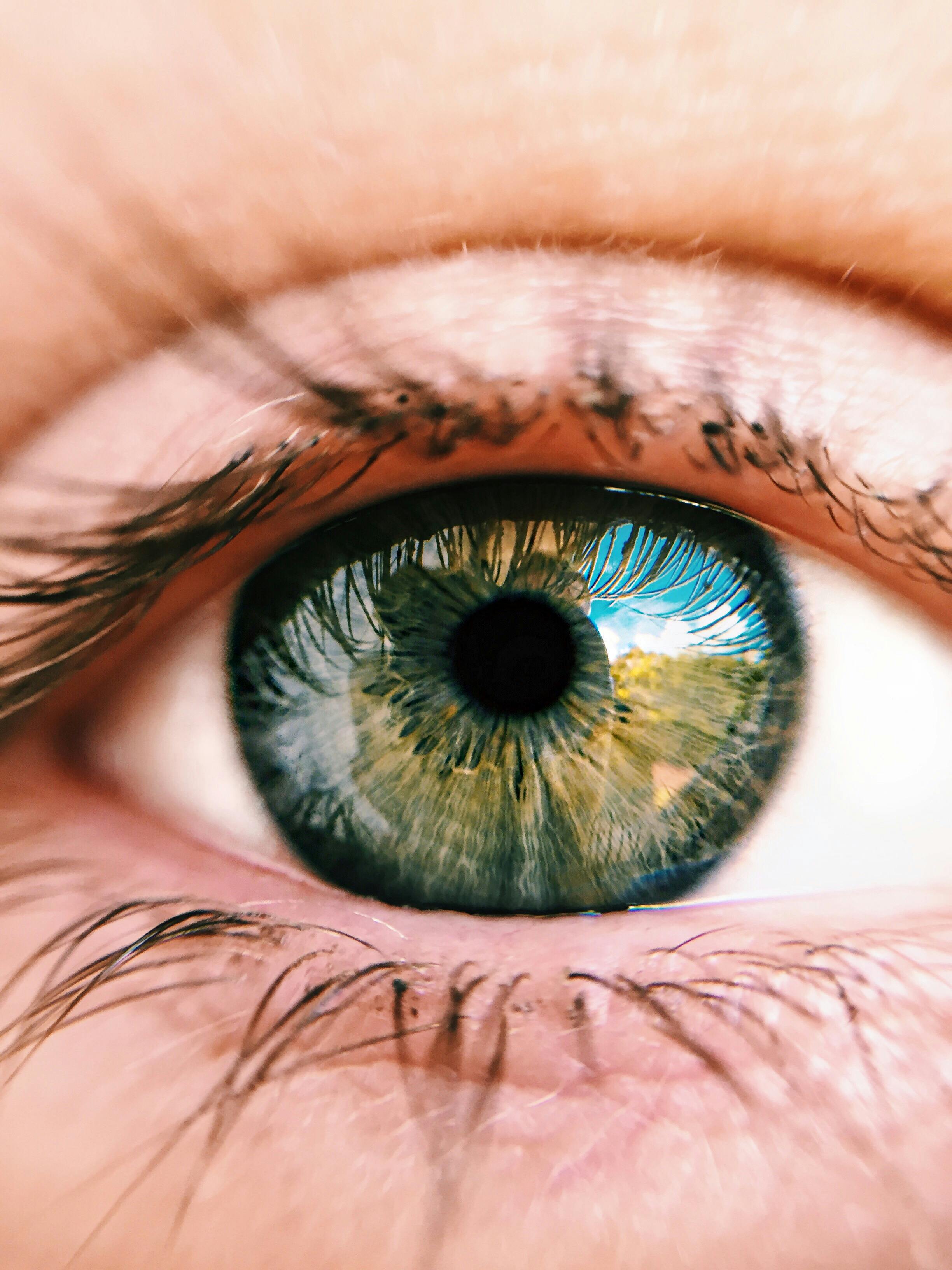 Eyeball Photos, Download The BEST Free Eyeball Stock Photos &amp; HD ...