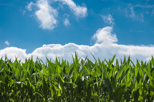 free farm photos