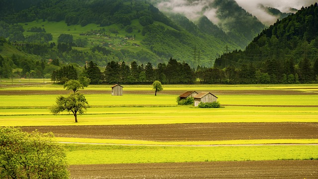 free farm photos