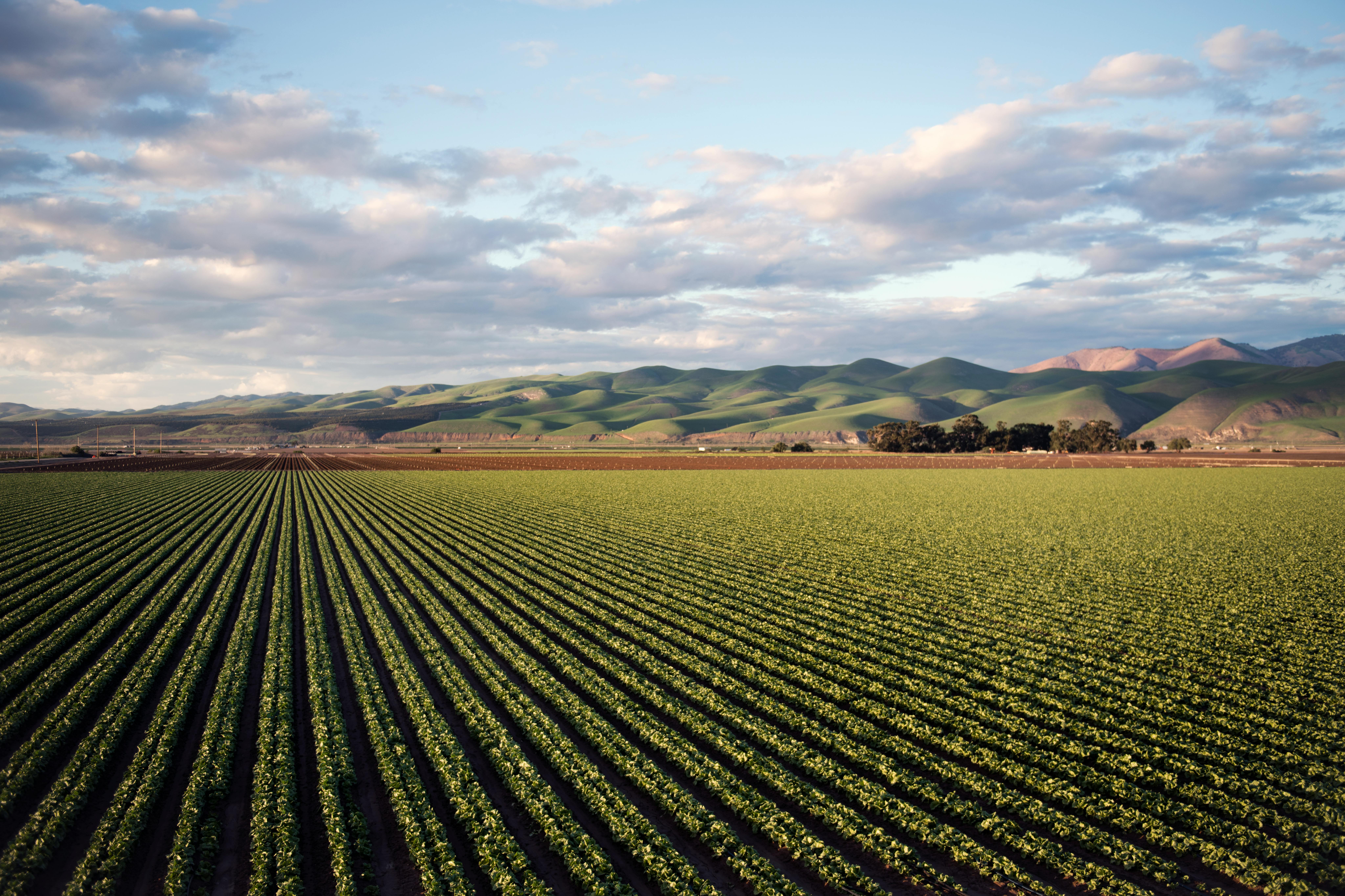 free farm pictures