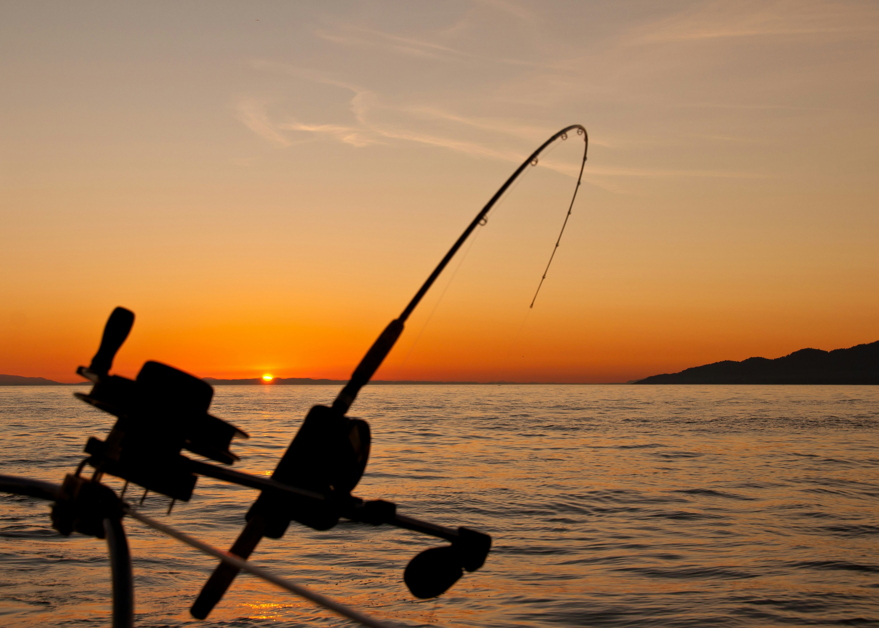 free fishing images