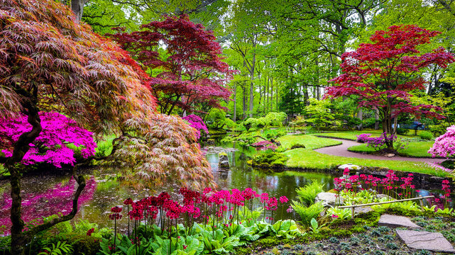 free garden pictures