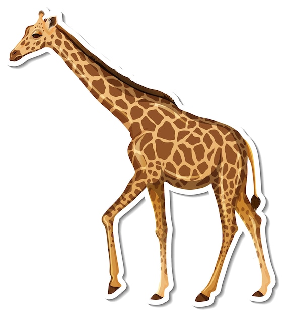 free giraffe clipart