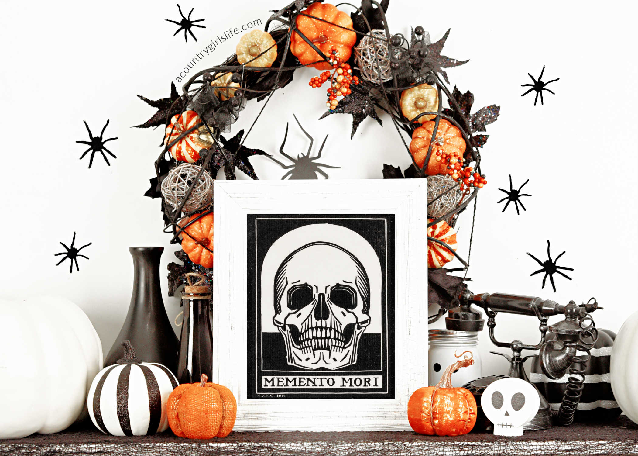 free halloween photos