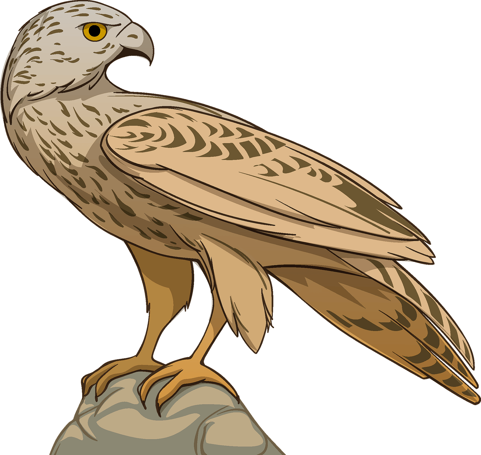 200+ Free Hawk Clipart Images