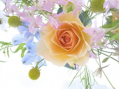 Free Flowers Stock Photos - Stockvault.net