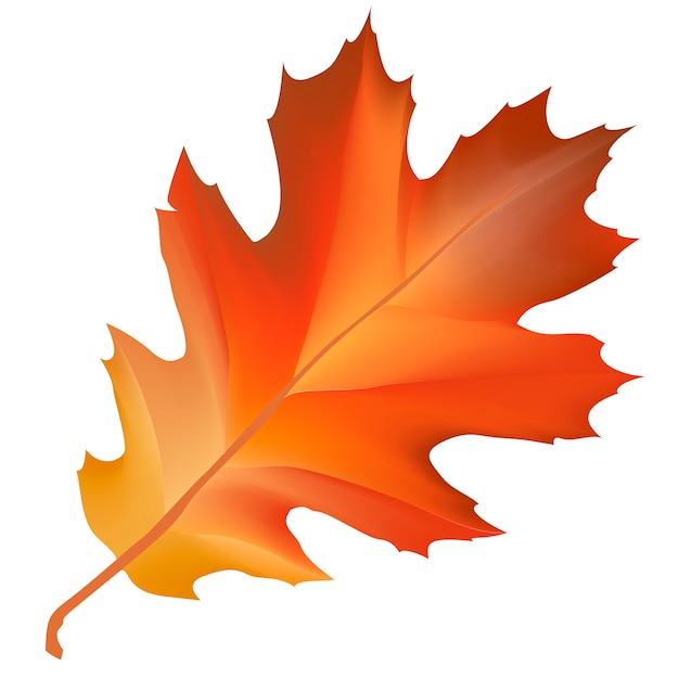 free leaf clipart 2024