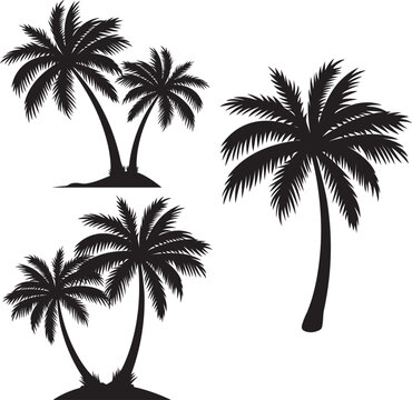 free palm tree vector