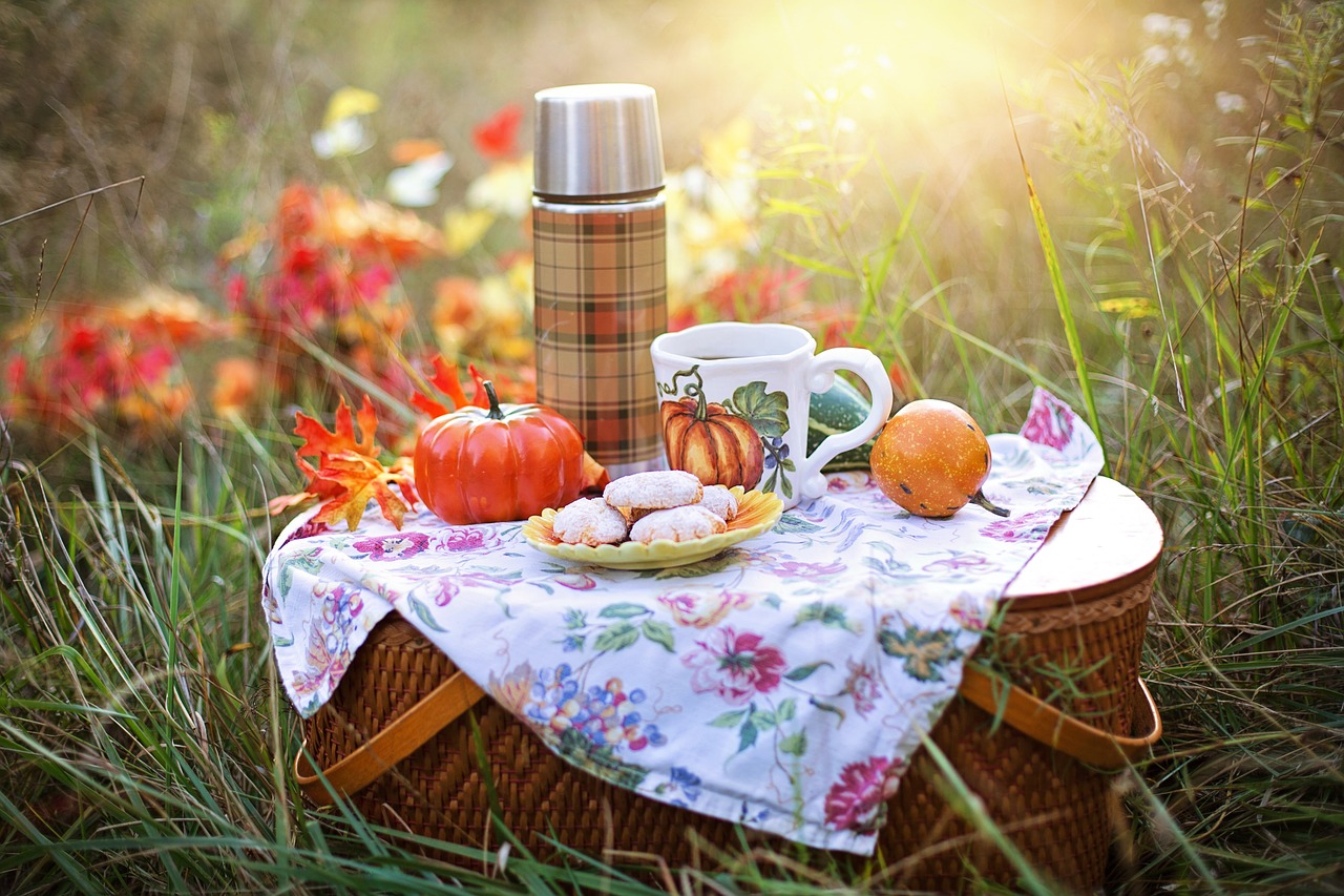 1,000+ Free Picnic Pictures and Images for Download - Pixabay
