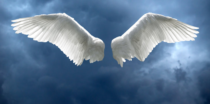 free pictures of angels with wings