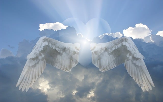 free pictures of angels with wings