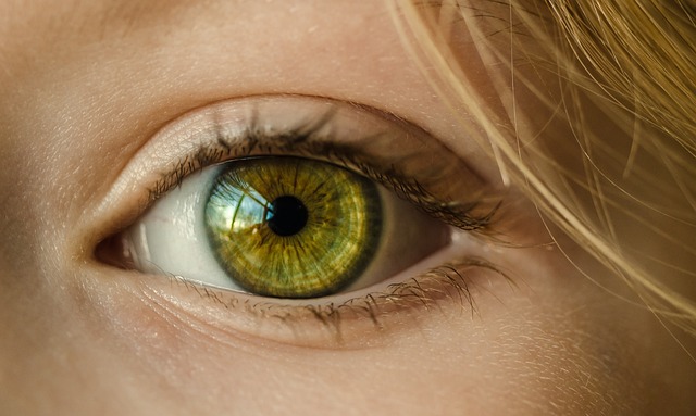 free pictures of eyes