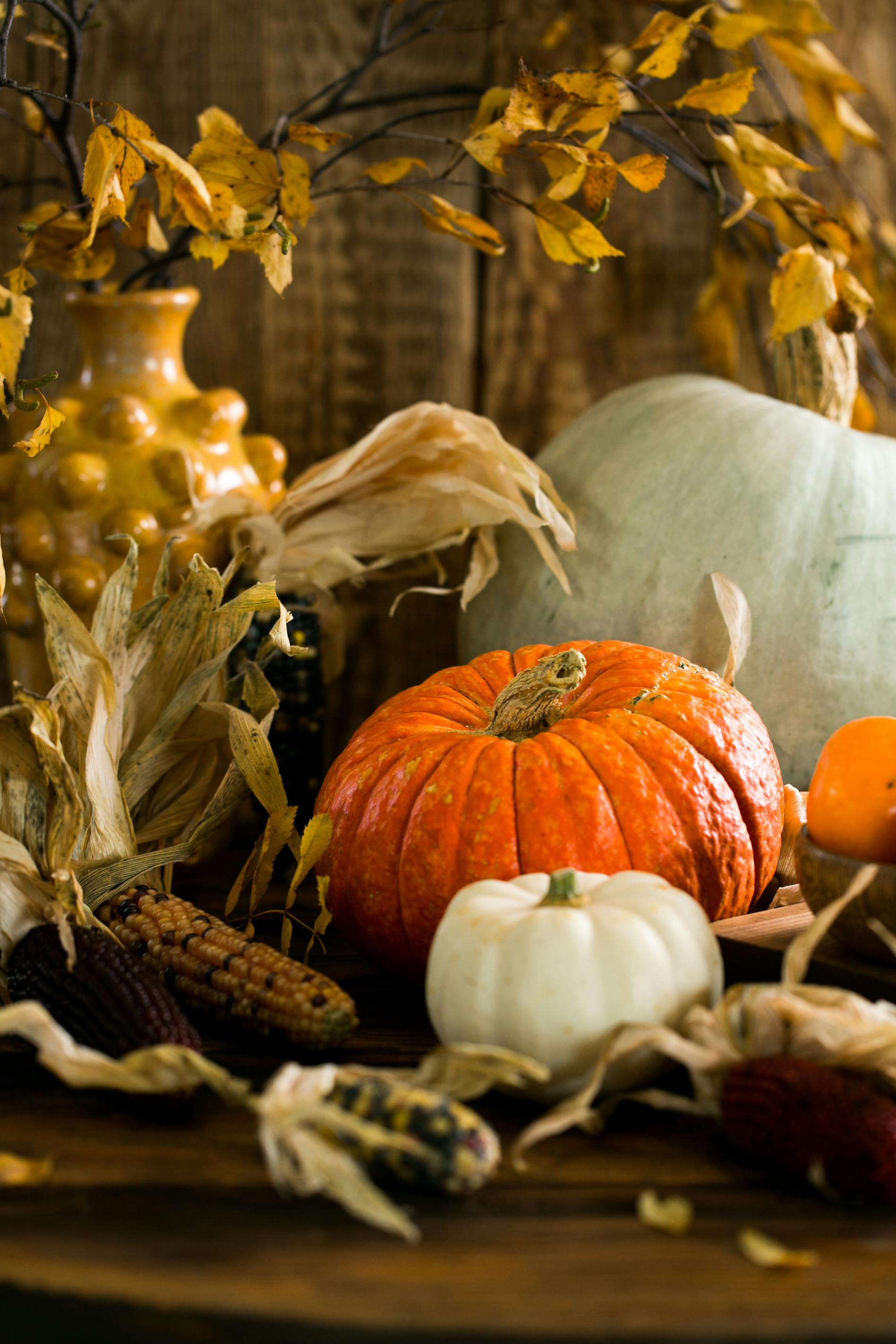 free pictures of thanksgiving