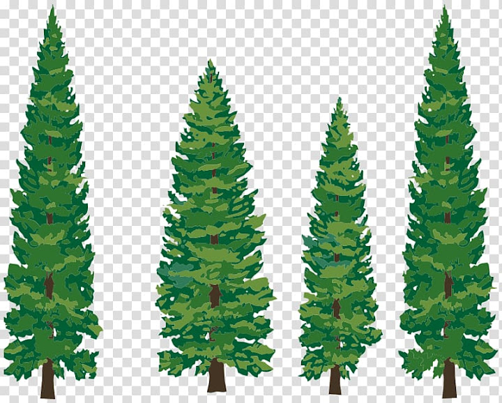 free pine cliparts