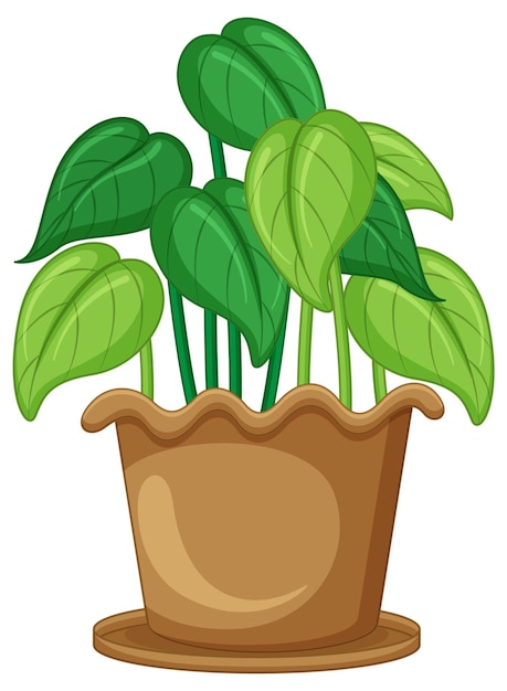 free plant clipart
