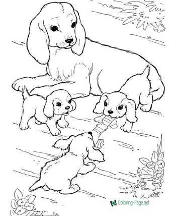 free printable coloring pages of animals