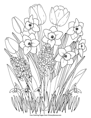 Spring Flowers Coloring Page • FREE Printable PDF from PrimaryGames