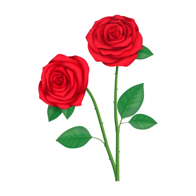 free rose clipart 2024