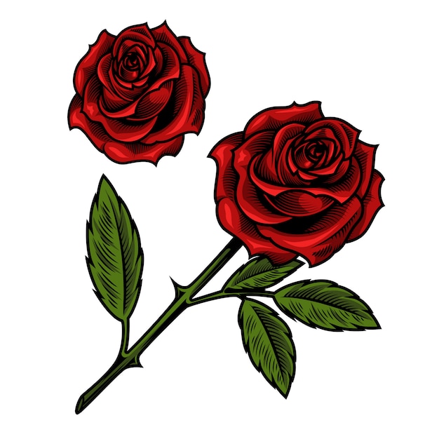 free rose clipart 2024