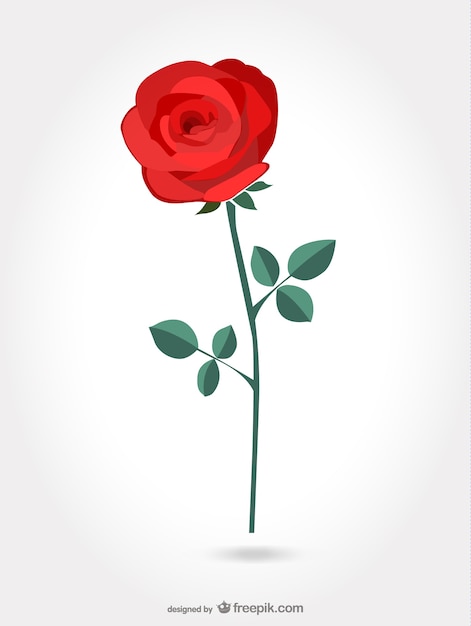 Rose Images - Free Download on clipart library
