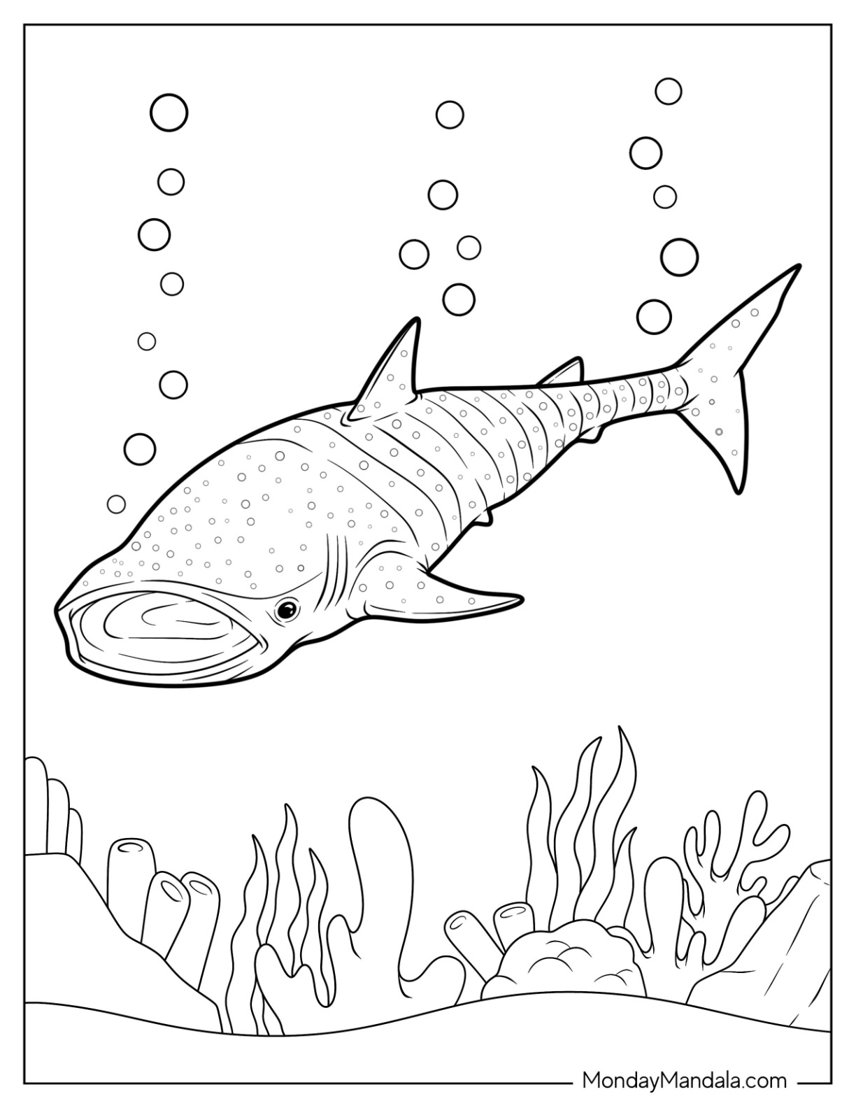 free shark coloring pages to print