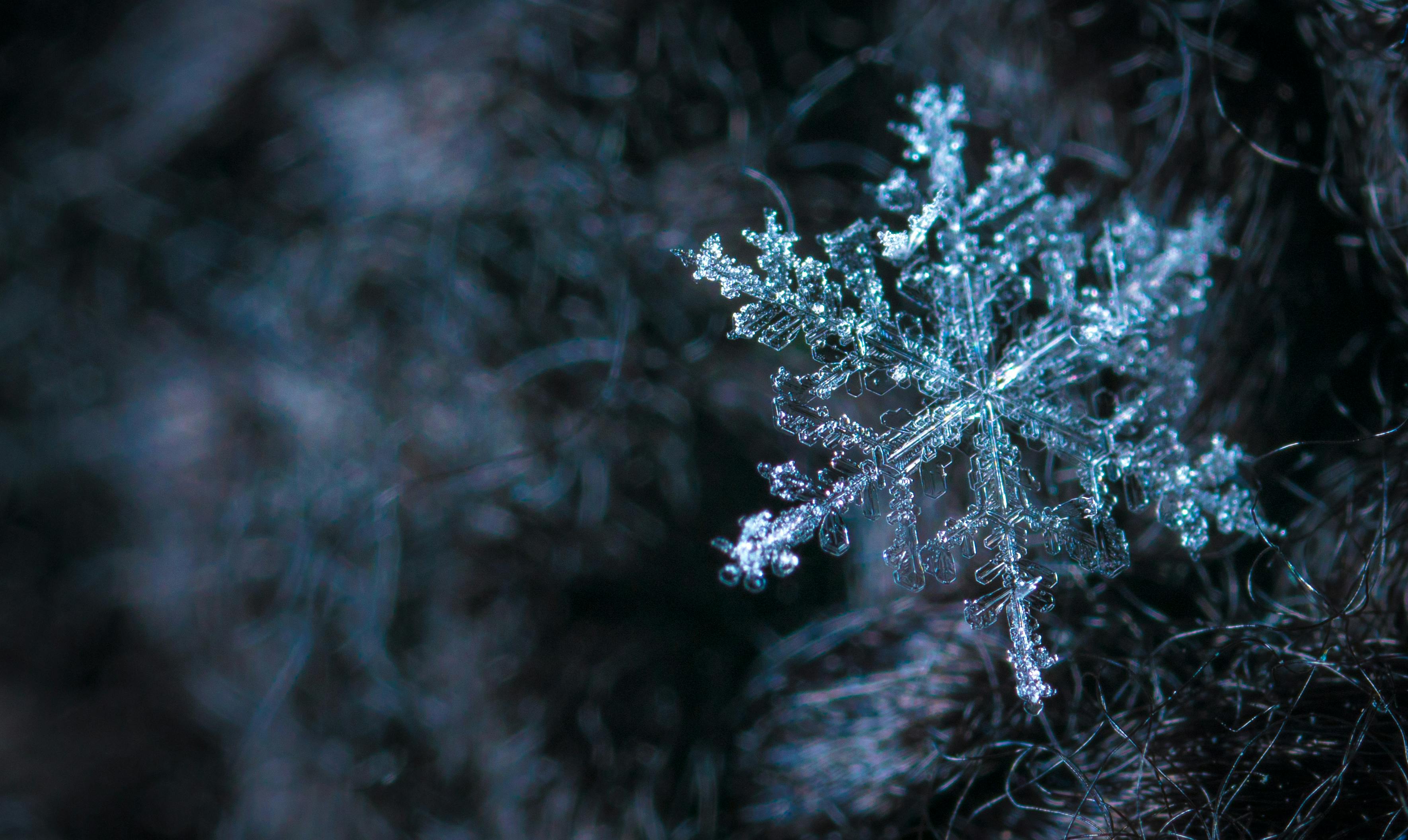 free snowflake images
