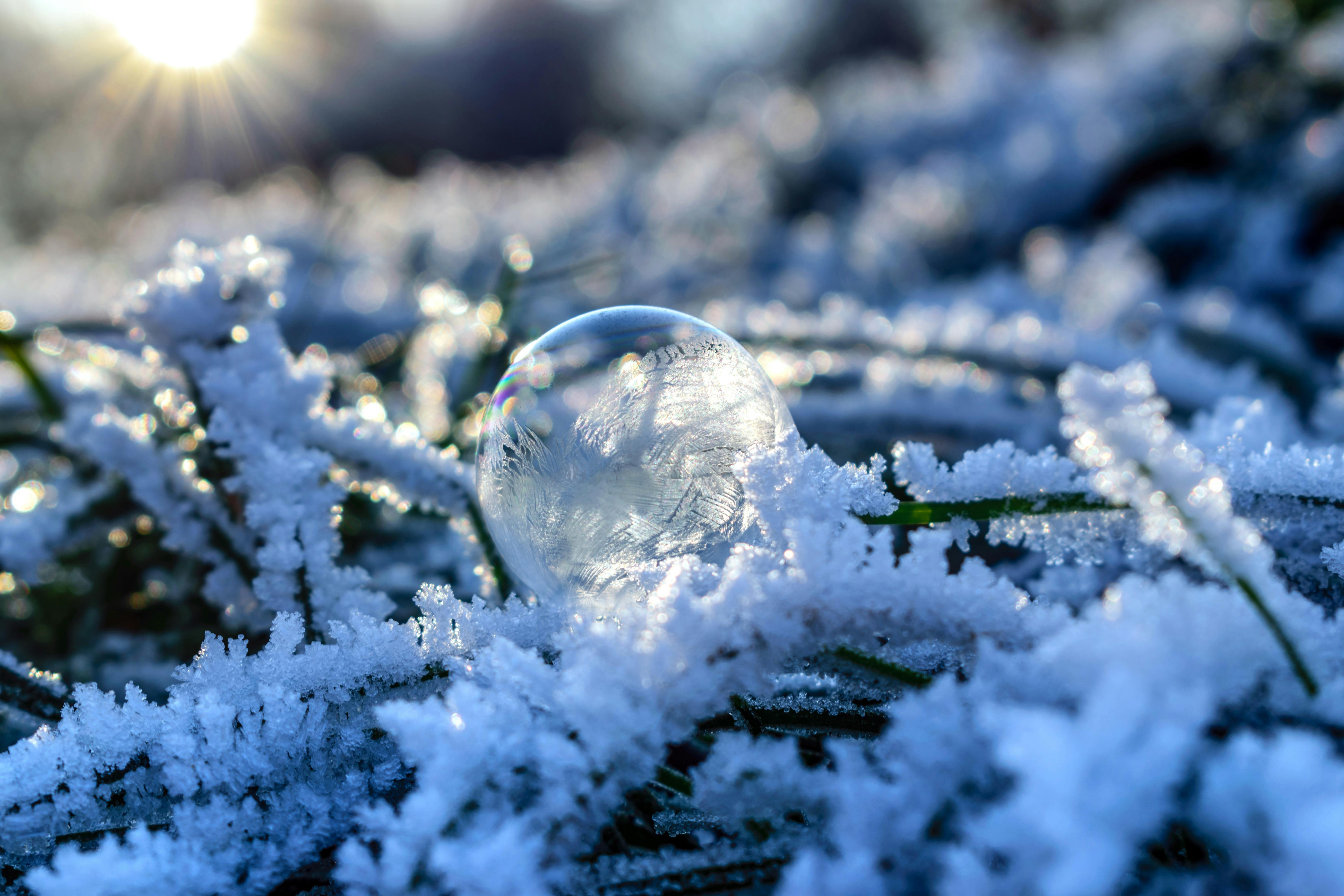Snowflake Photos, Download The BEST Free Snowflake Stock Photos ...