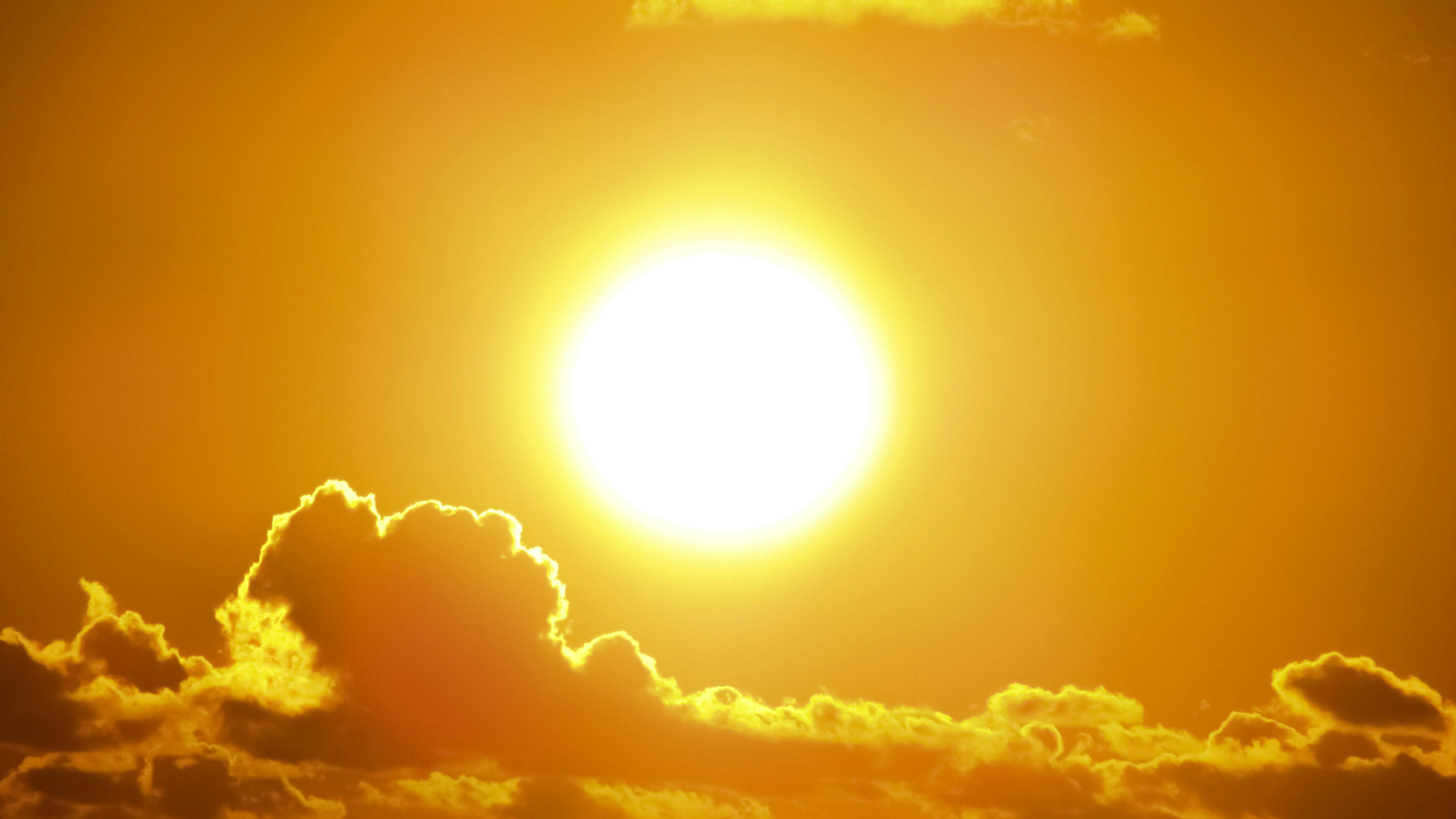 Sunshine Photos, Download The BEST Free Sunshine Stock Photos &amp; HD ...