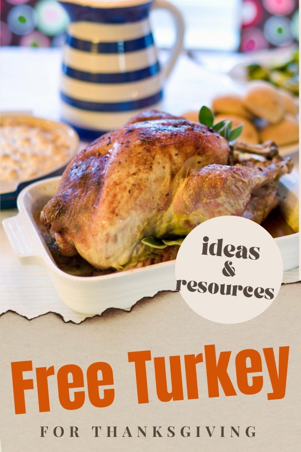 free thanksgiving turkey