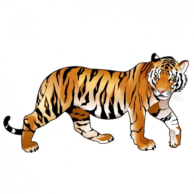 Tiger Clipart Images - Free Download on clipart library