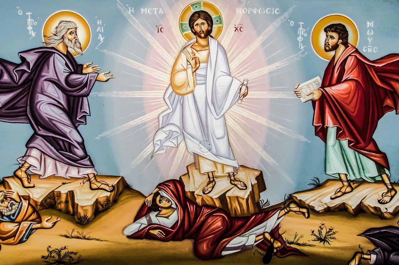 free transfigurations