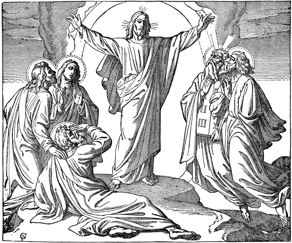 free transfigurations